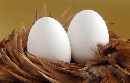 Thượng đế có ý gì khi tạo ra quả trứng có hai đầu to nhỏ khác nhau? - post