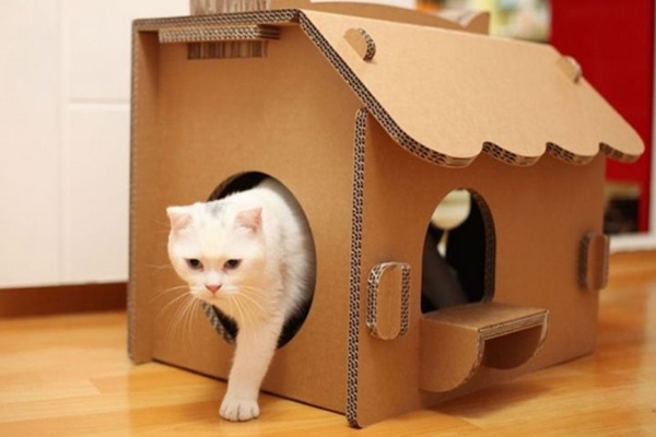 Làm nhà cho mèo cưng bằng bìa carton